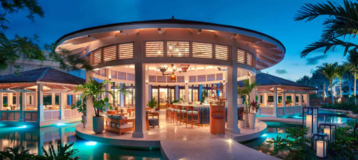 American Alliance Dining